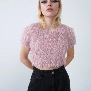 Zara Women's Pink and Purple Crop-top